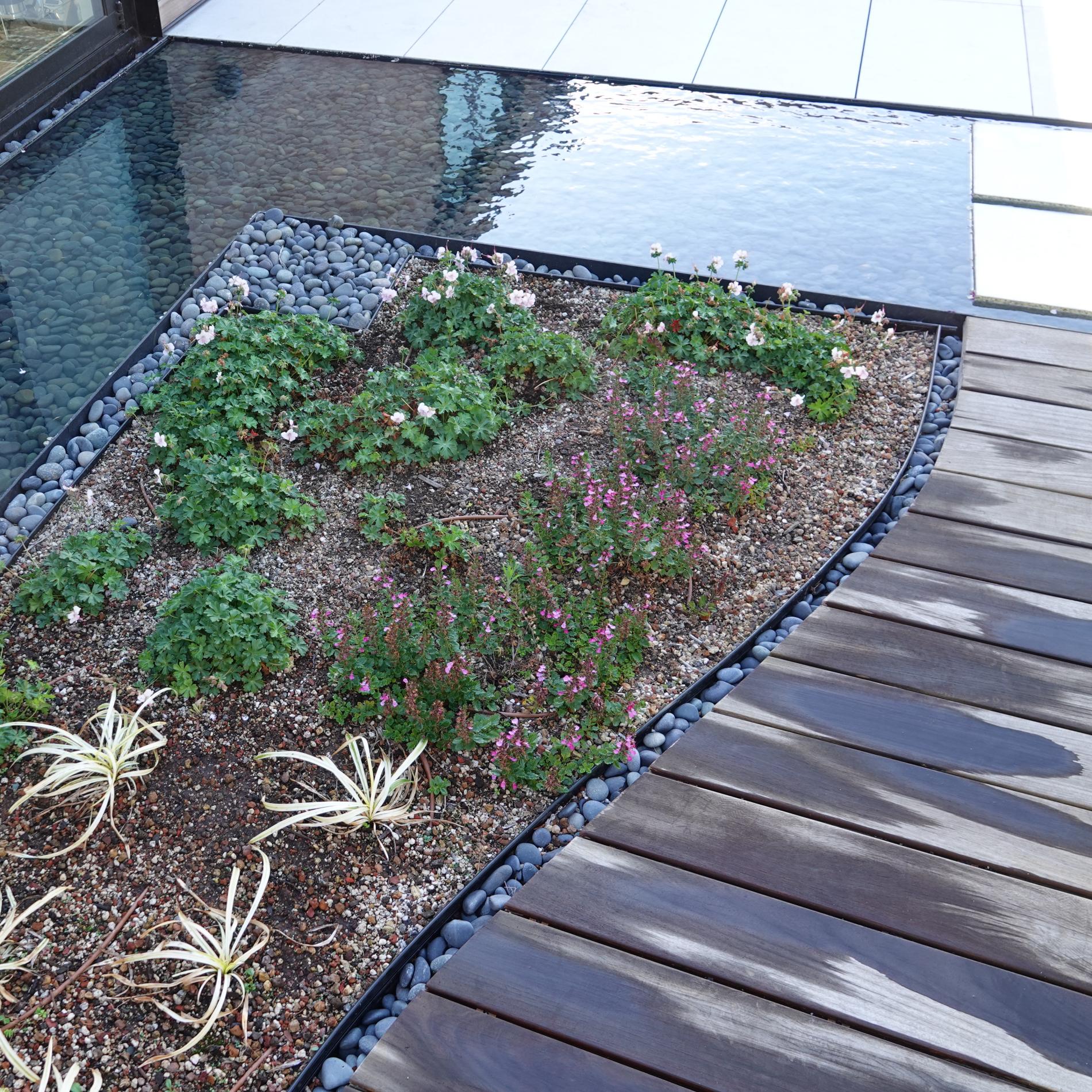Plantings by canal