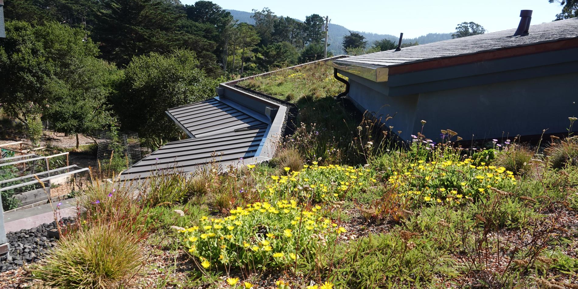 Landscape on the roof