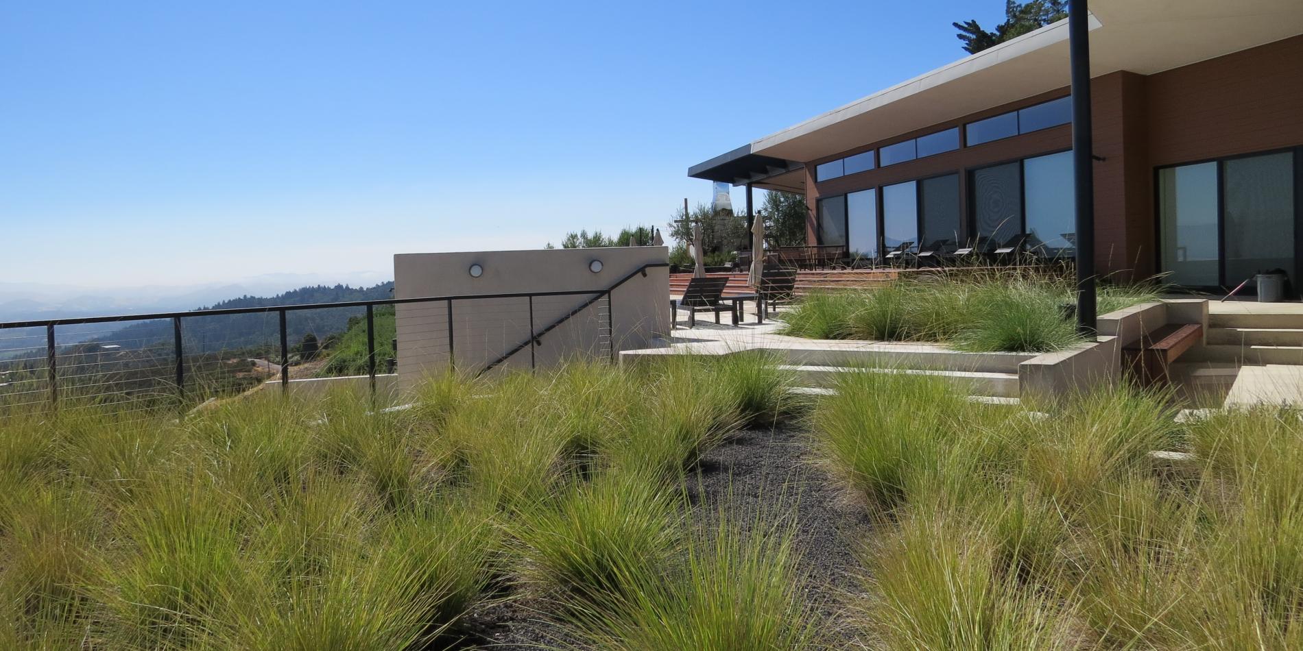 Roofscape looking towards pool