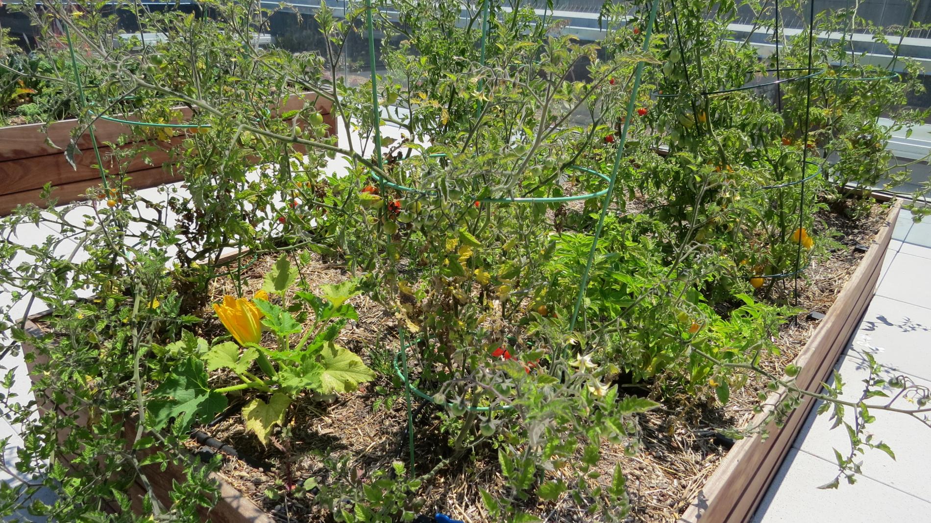 Planting bed