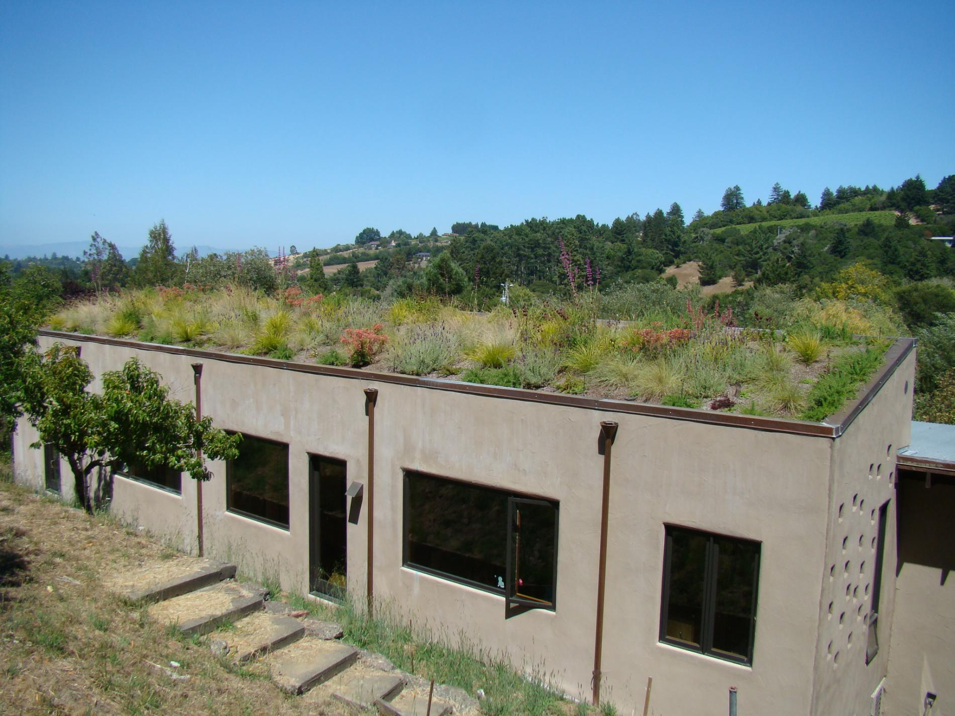 Roofscape viewed from above