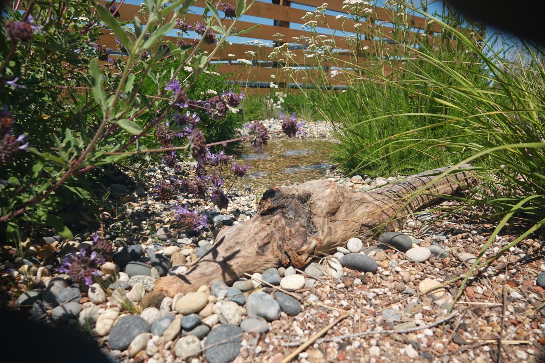 log