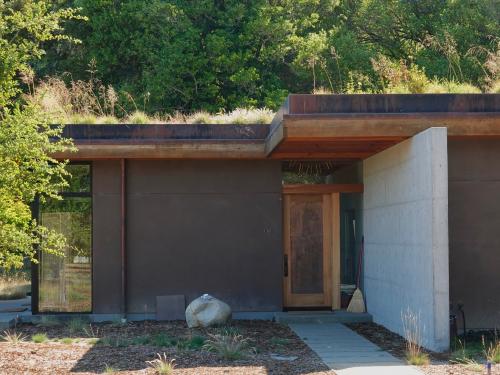 Front entry with living roof