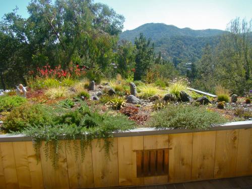 Roofscape with dry creek