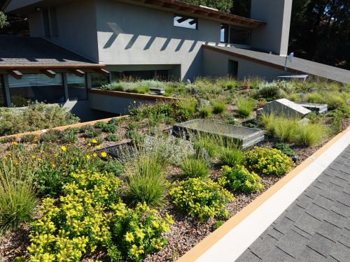 Roofscape with skylights