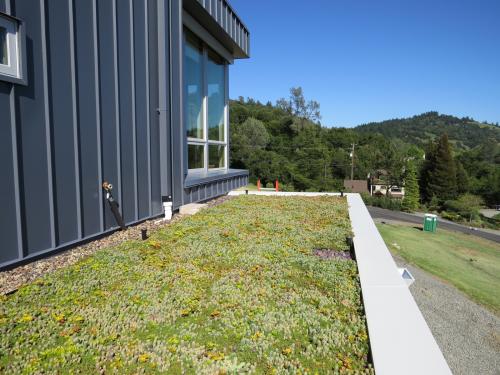 West facade living roof