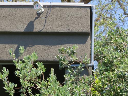 Flame sensor - earthwise house