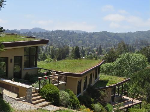 Meadow rooftop gardens