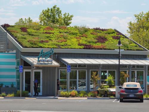 AMYS Roseville West Facade