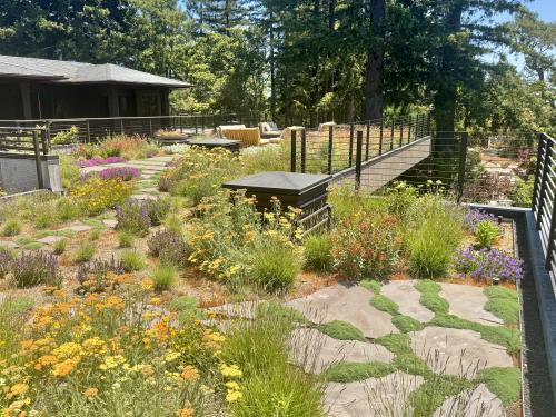 Roof garden with lounge deck