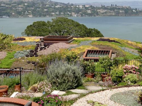Living roof with succulent plant palette
