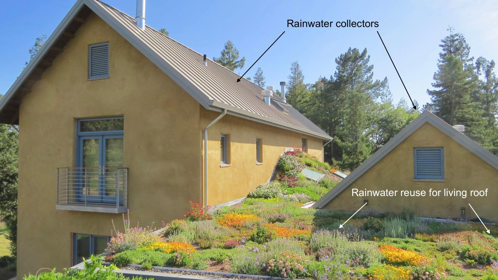Rainwater collection and irrigation of living roof