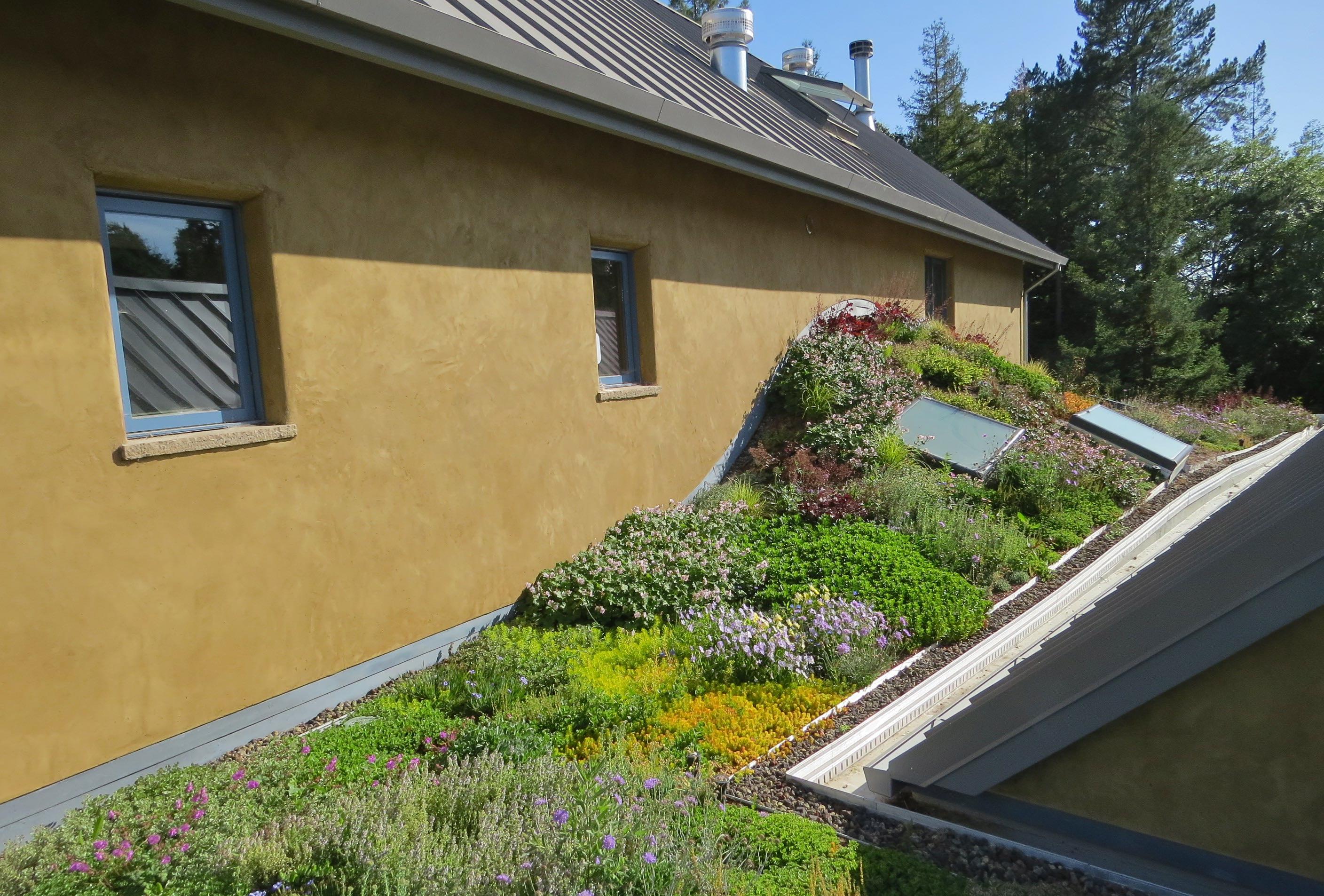 Vegetative roofs keep buildings cool 
