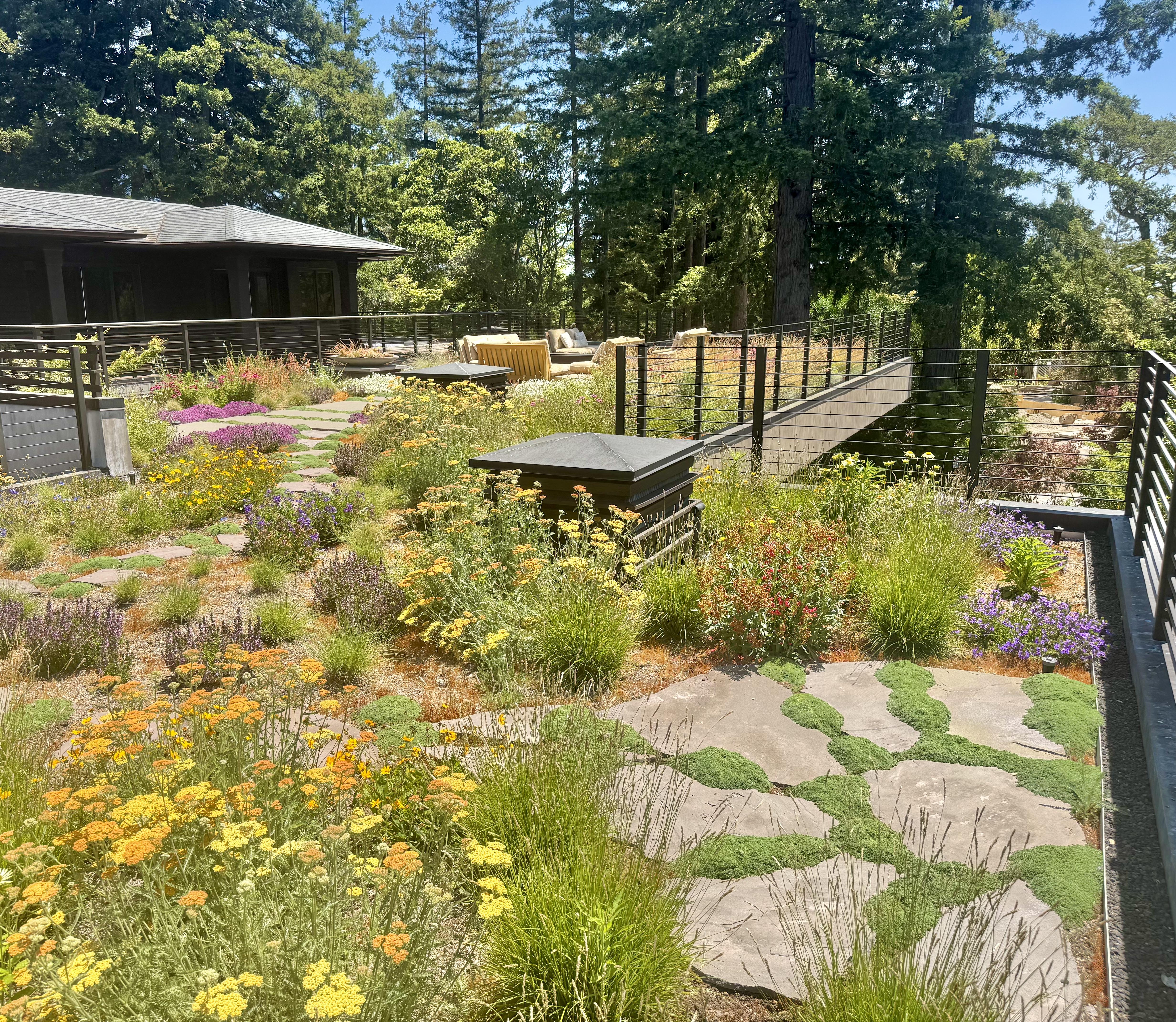 Roof garden with lounge deck