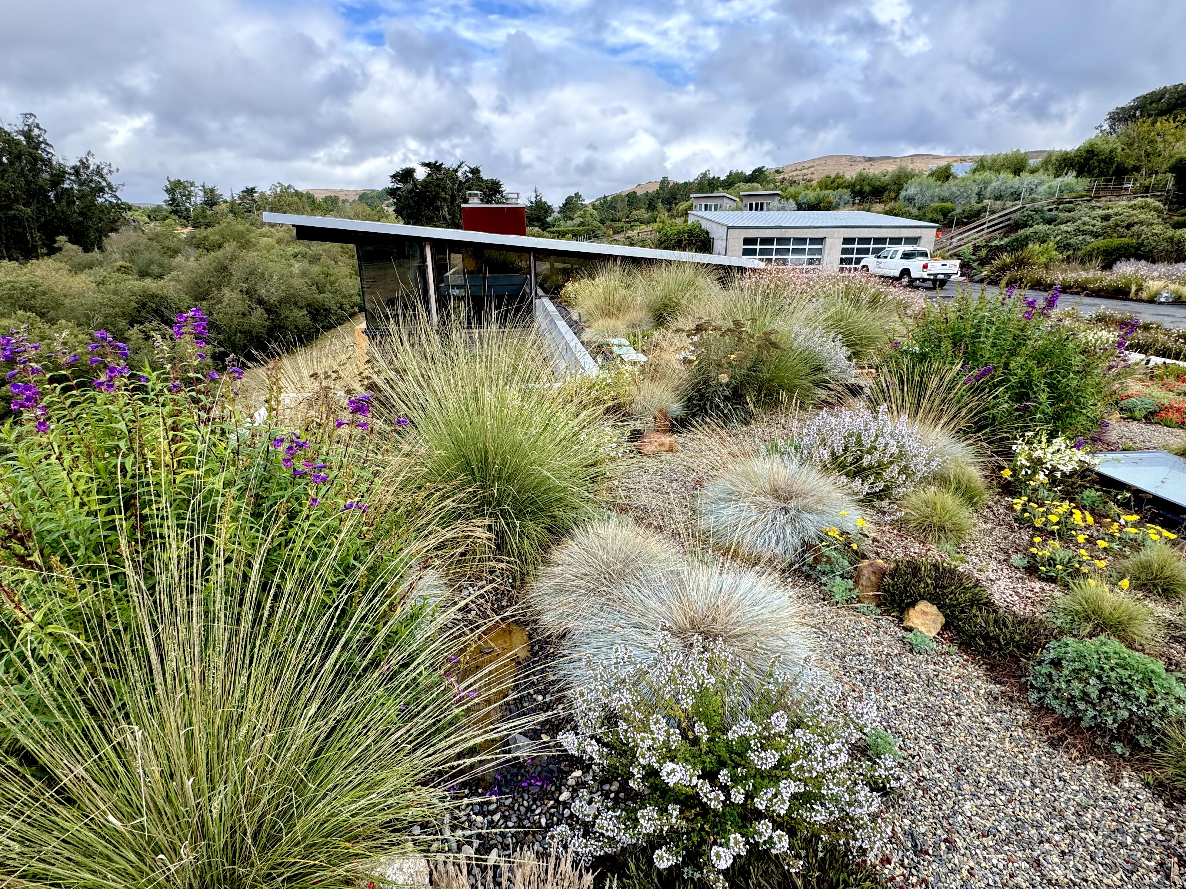 Rooftop view looking east