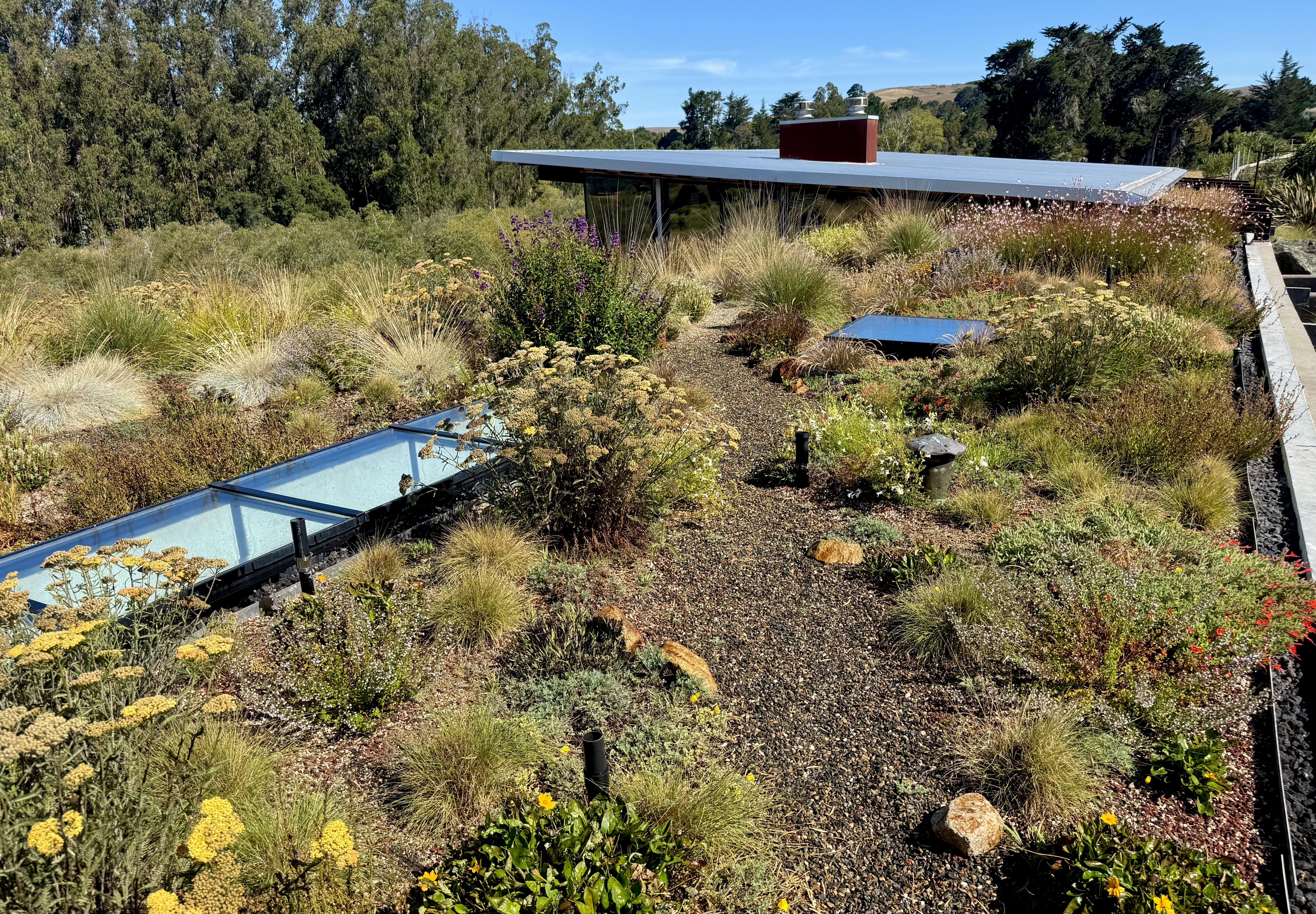 Rooftop view with skylights
