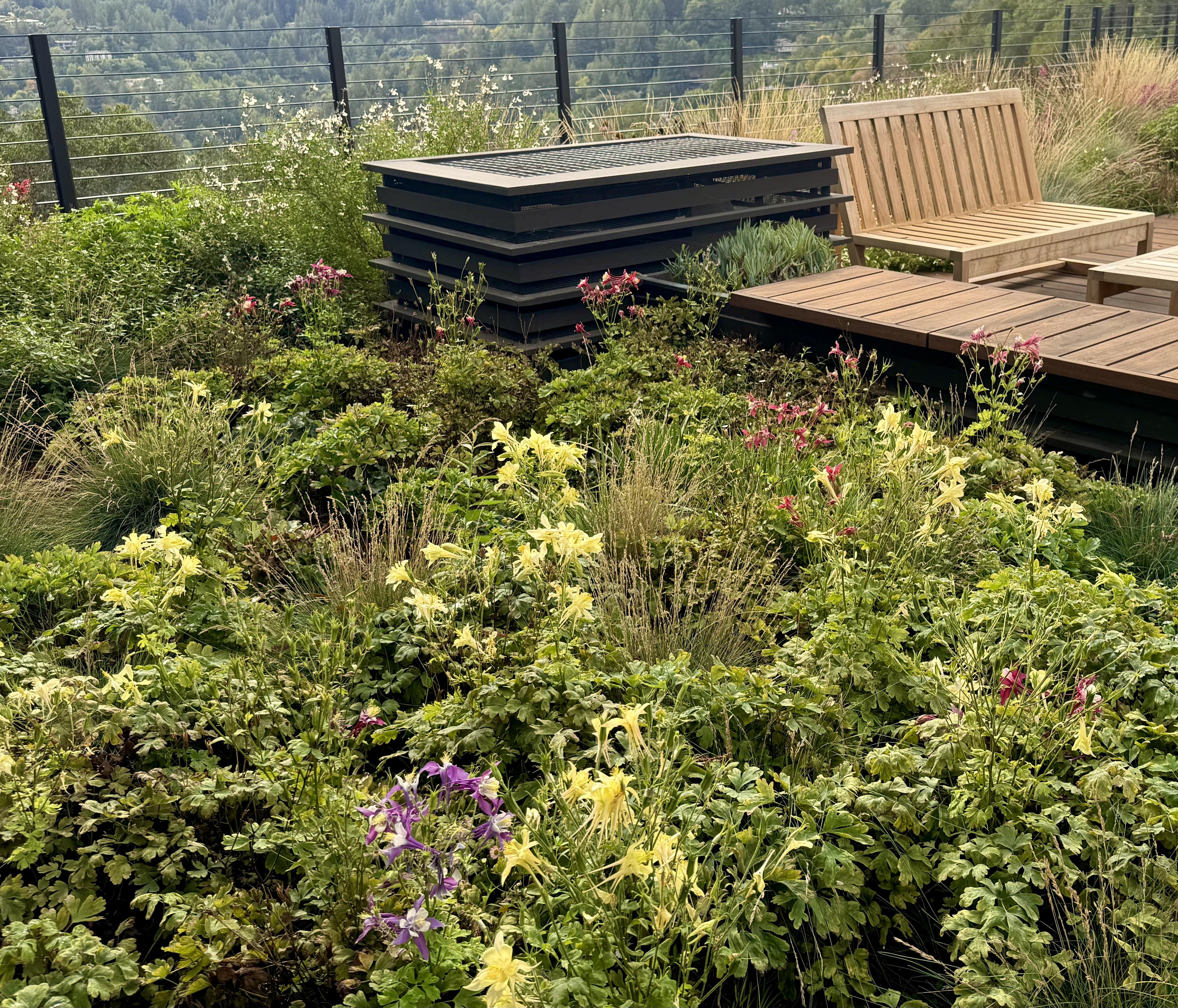 Flowering plants adjacent to lounge deck
