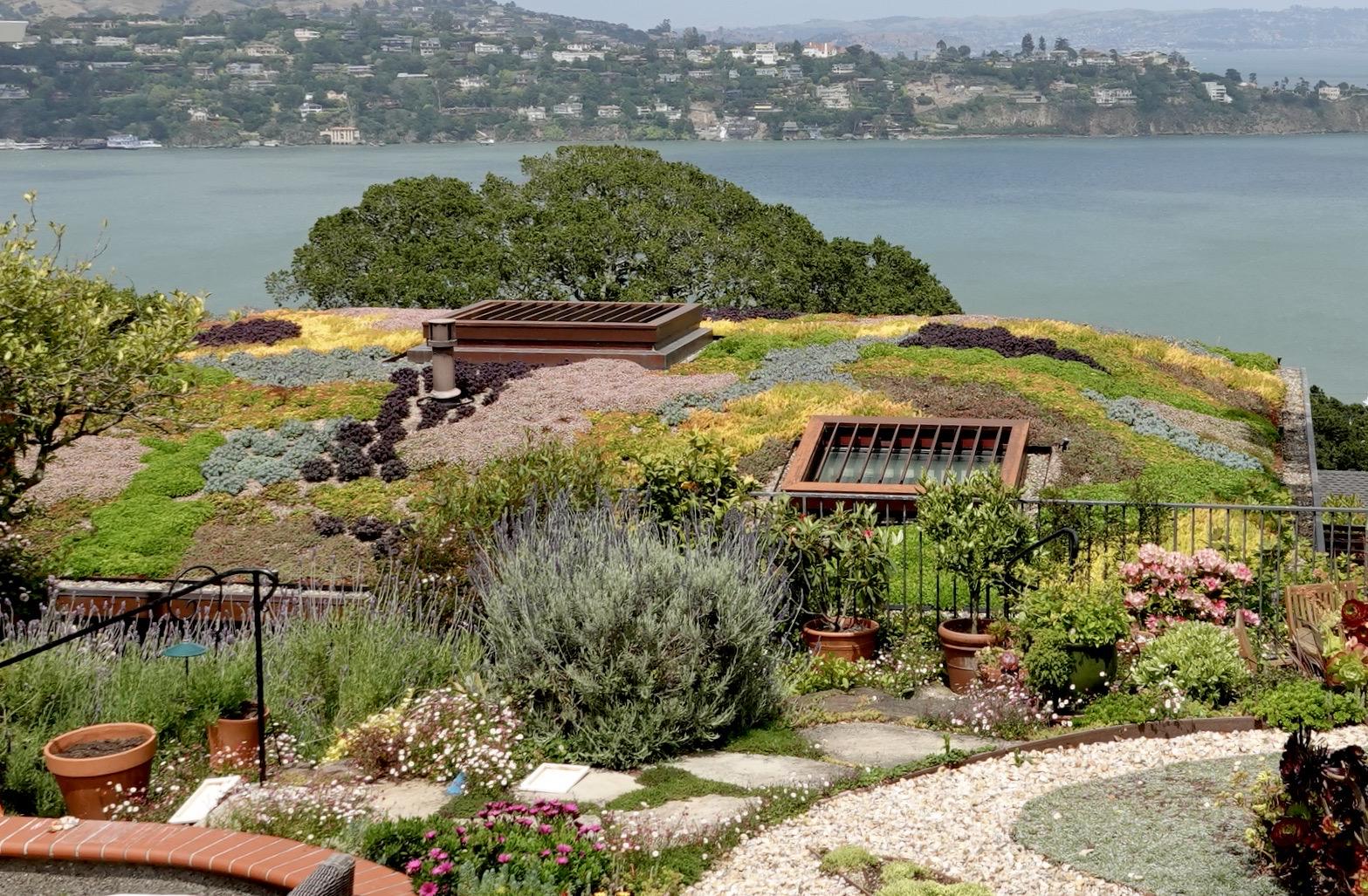 Living roof with succulent plant palette