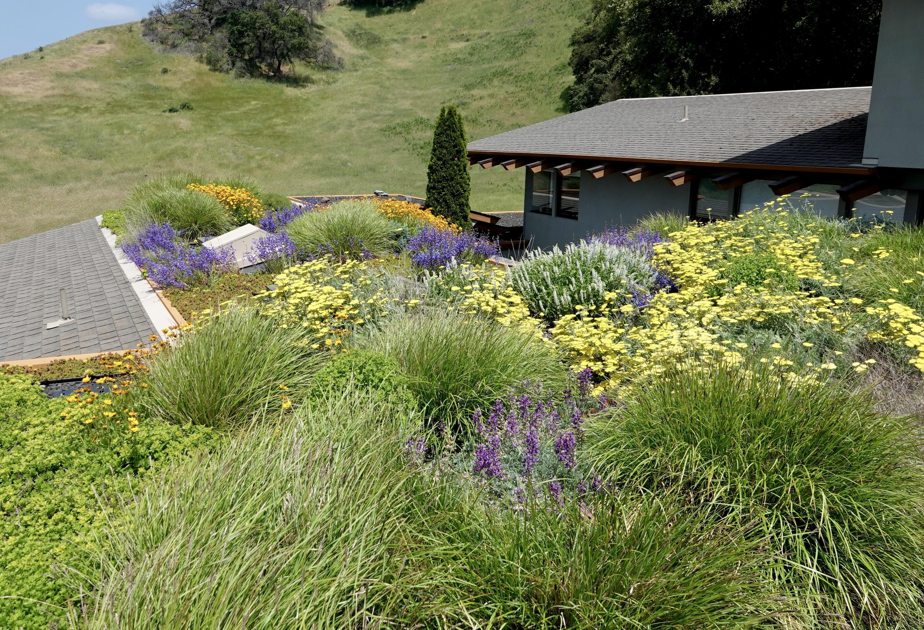 Rooftop view looking south