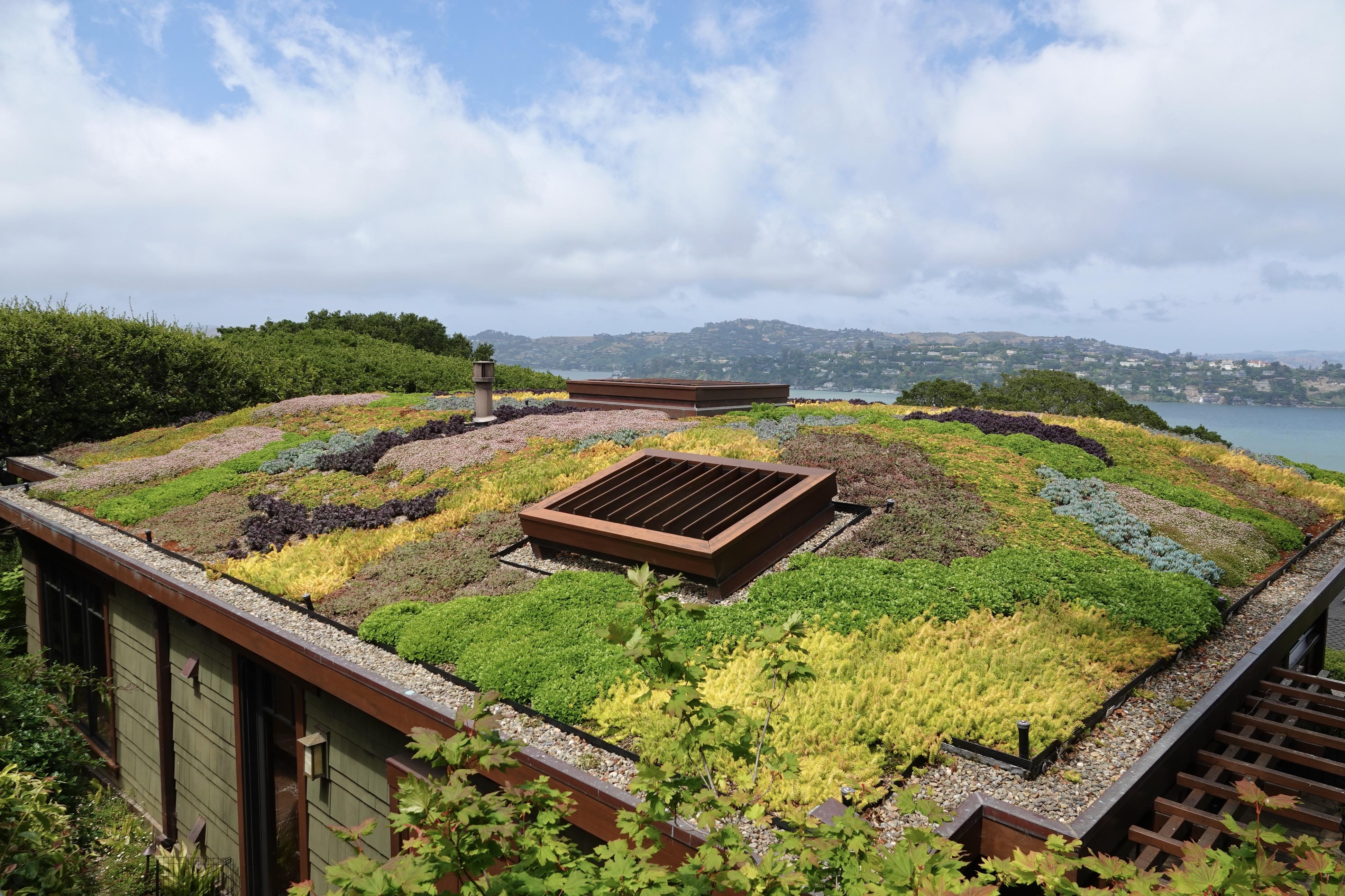 Living roof view from above