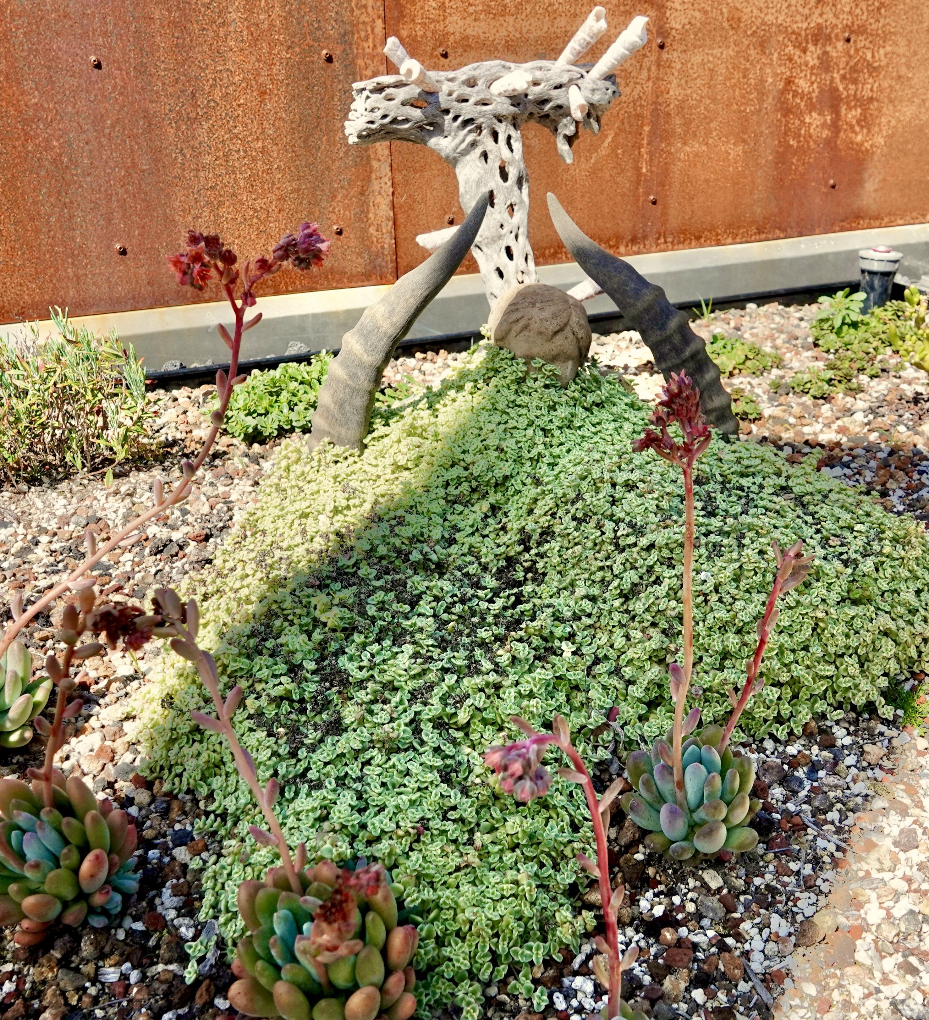 Garden feature