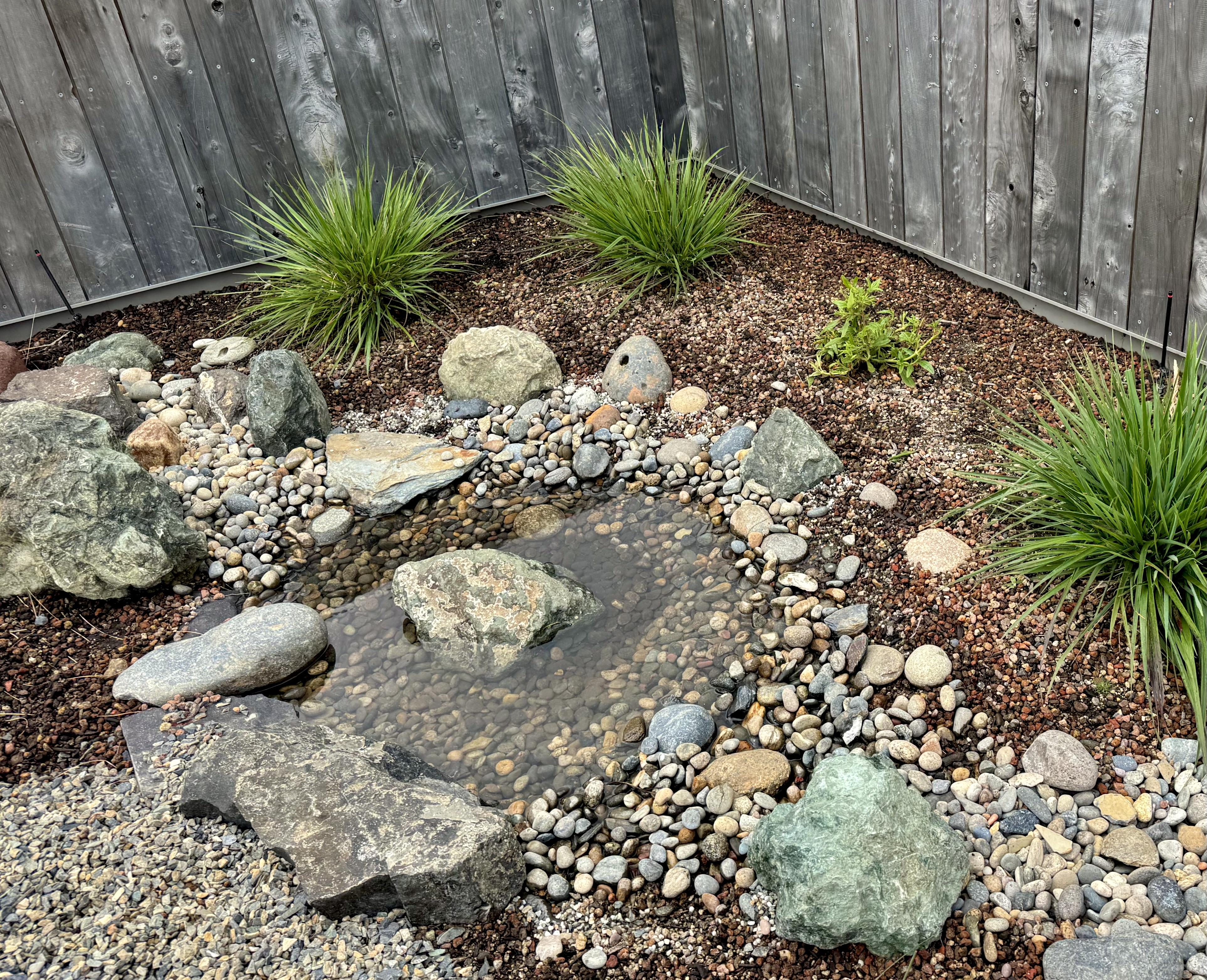 Rockscape with pollinator pond