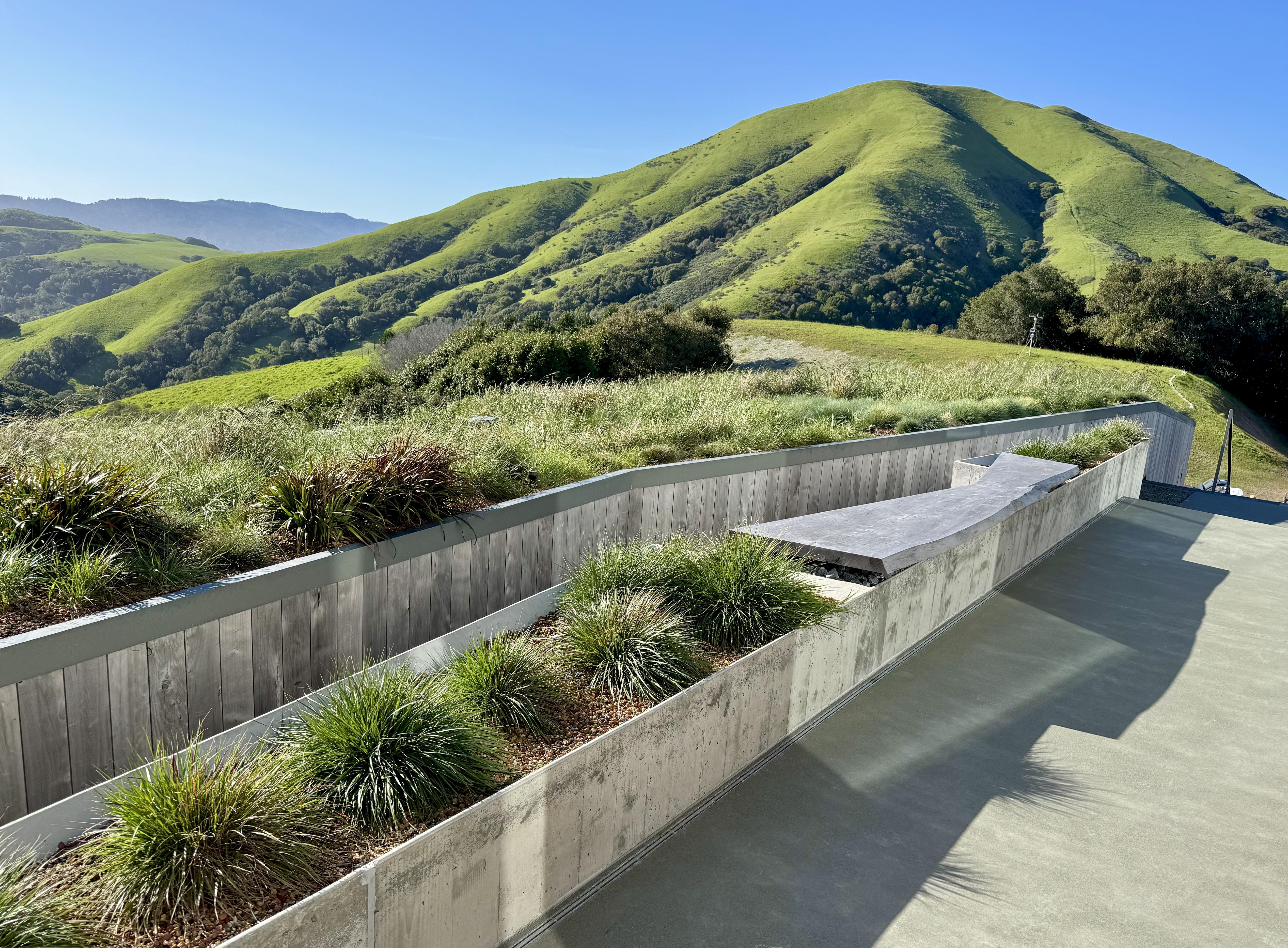 Native meadow over lower level wing of house adjacent to entry